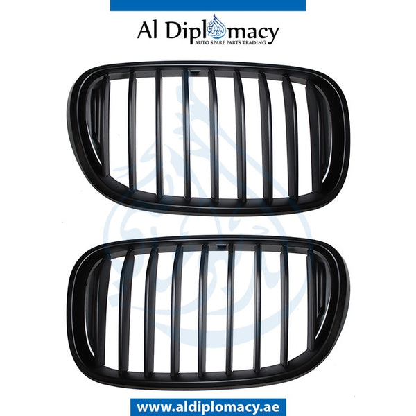 SHOW Grille, Black, M Performance, SET for BMW 7 Series G11 (2015) models, Part Number T-G11/G12 GRILLE(PERFORMANCE)SET-BK