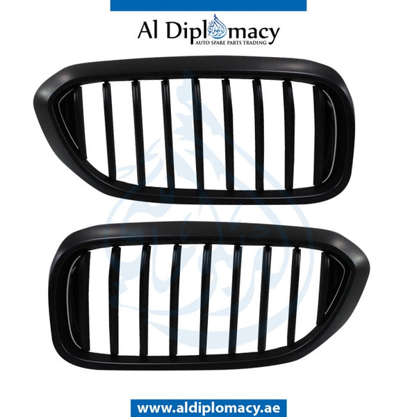 SHOW Grille, M PERFORMANCE Look, Black, SET for BMW 5 Series G30 (2016-2020) models, Part Number T-G30 GRILL-BK-(M PERFORMANCE LOOK) (SET)