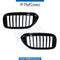 SHOW Grille, Black, SPORT Look, SET for BMW 5 Series G30 (2016-2020) models, Part Number T-G30 GRILL-BK-(SPORT LOOK) (SET)