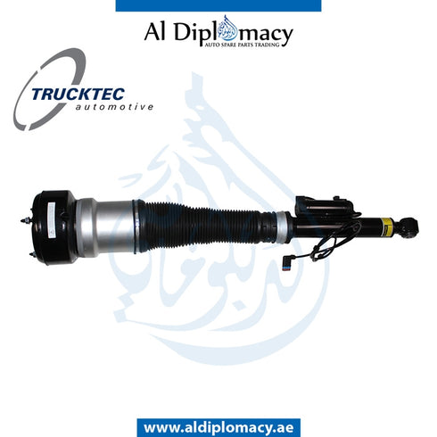 Rear Left AIR SUSPENSION Strut, 02.30.173 for Mercedes-Benz S Class W216 (2006-2014) models, Part Number TT-2213205513