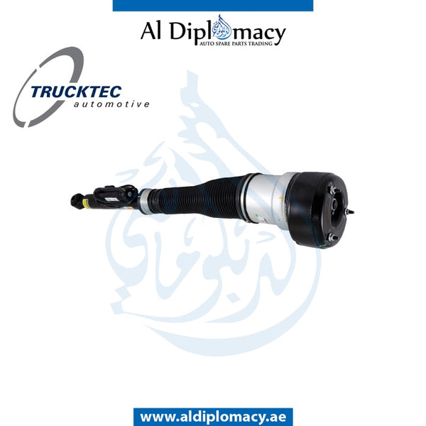 Rear Right AIR SUSPENSION Strut, 02.30.172 for Mercedes-Benz CL Class W216 (2006-2014) models, Part Number TT-2213205613