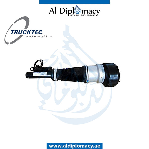 Front Left Right AIR SUSPENSION Strut, OR 02.30.171 for Mercedes-Benz S Class W221 (2006-2013) models, Part Number TT-2213209313