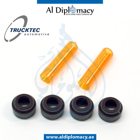 VALVE STEM SEAL KIT 02.43.266 for Mercedes-Benz A Class C209 (2002-2010) models, Part Number TT-6120500058