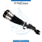 Front Left Right AIR SUSPENSION Strut, OR for Mercedes-Benz S Class W220 (1999-2005) models, Part Number UN-2203207613