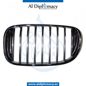 Right SHOW GRILLE for BMW 7 Series G11 (2015) models, Part Number UN-51137357012