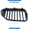 Left SHOW GRILLE for BMW 5 Series G30 (2016-2020) models, Part Number UN-51137383519