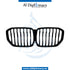 SHOW GRILLE for BMW X5 Series G05 (2018-2023) models, Part Number UN-51137454887