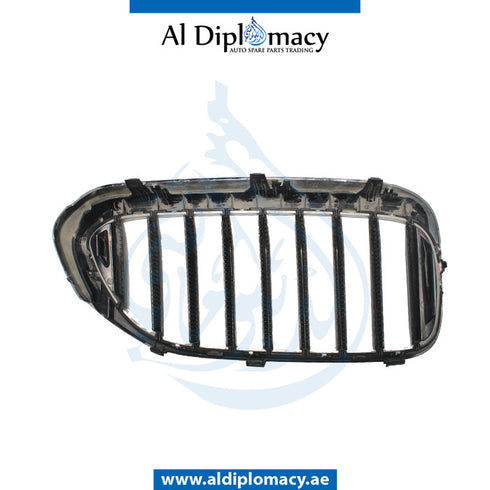 Left SHOW GRILLE for BMW 5 Series G30 (2016-2020) models