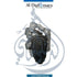 Mercedes-Benz W213 Brake Caliper Actuator Rear, Left Side Or Right Side - OEM Part Number 0009061004 Used
